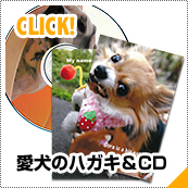 愛犬のハガキ＆CD